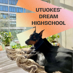 utuoke's dream highshcool / 내 꿈의 학교