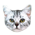 Beat Kitty31