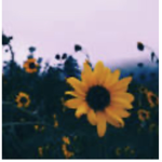 Aesthetic roblox stuff