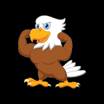 Hawk Simulator