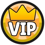 VIP Pass