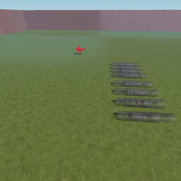 basic training