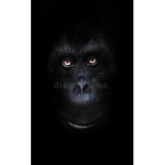 the monkey group join :)