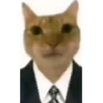 Los Piolas De Roblox