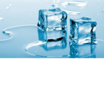 The IceCube Group