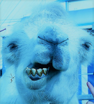 LAMAAAAAA