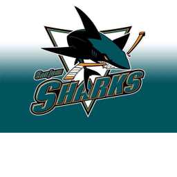 Practice Arena For The San Josa Sharks