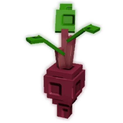 Evo Beetroot II