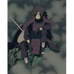 XESURA X SHIPPUDEN