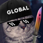 TheAlexeyDEV