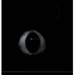 …EYES…