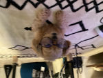 ゆい組