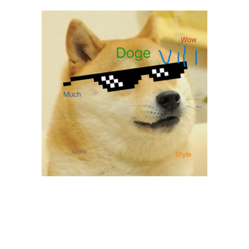 Doge vill