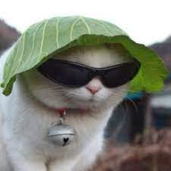 escape larry crop!!! ft