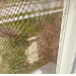 Sunny’s Home! :D