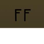 Fighting Fun (F.F)