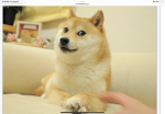 THE GREAT DOGE EMPIRE!!!