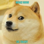 Doge chips