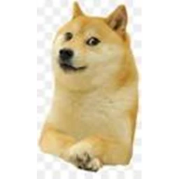 Doge head simulator(Update I) icon