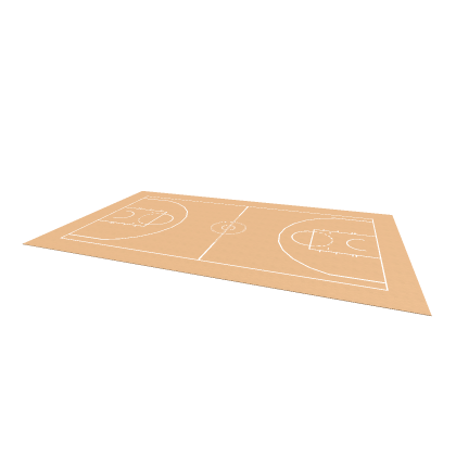 Real-World Dimensions Basketball Court