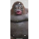 Im_justbetter6