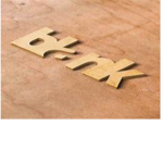 THE OFFICAL BLANK CLAN
