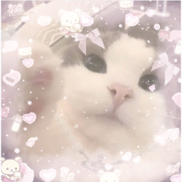 filtr bxnni's kawaii outifts & avatar ideas