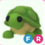 Turtle.S