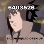 BACON SQUAD OPEN UP