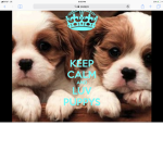 Keep calm and luv puppies