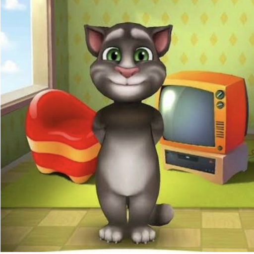 Дом кота Тома