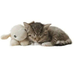Meowqc