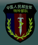「CPLASF」西北战区特种部队总队′