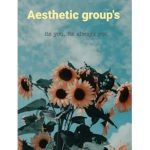 Aesthetic group's.