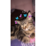 vxsal
