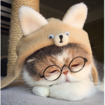 ･ bunny