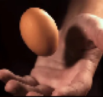 EggCG