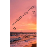 *-Aesthetics*-