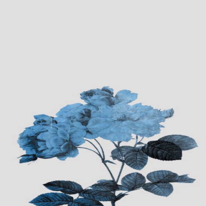 Blue Roblox decal