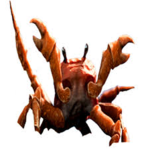 Cool Crabs Official