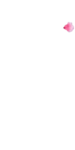 Hampton Industries