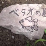 masuhuro