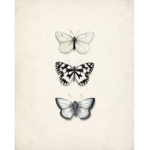 Butter.fly’s