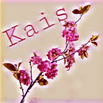 Kai’s