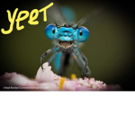 Jay says you are all cool