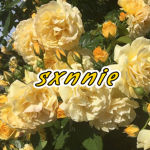 sxnnie