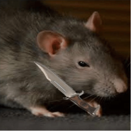 cursed Rat Roblox decal