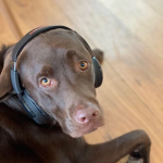 Murph Playz YT