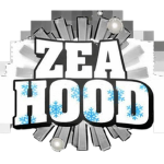 zea hood stars 2.0