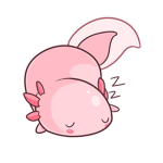 Axolotl Freunde